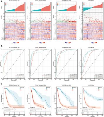 Corrigendum: Developing an immune-related signature for predicting survival rate and the response to immune checkpoint inhibitors in patients with glioma
